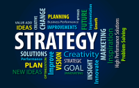Image of Business Strategy & Policy: Theory & Applications
