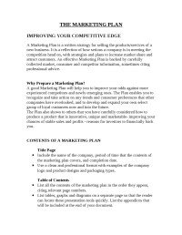 Image of THE MARKETING PLAN